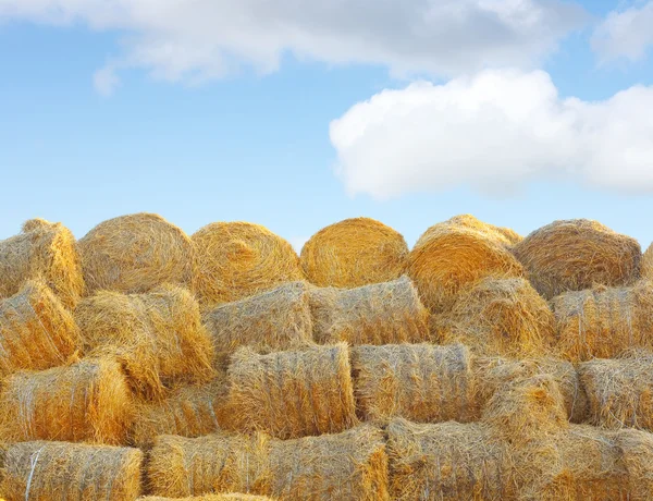 stock image Straw