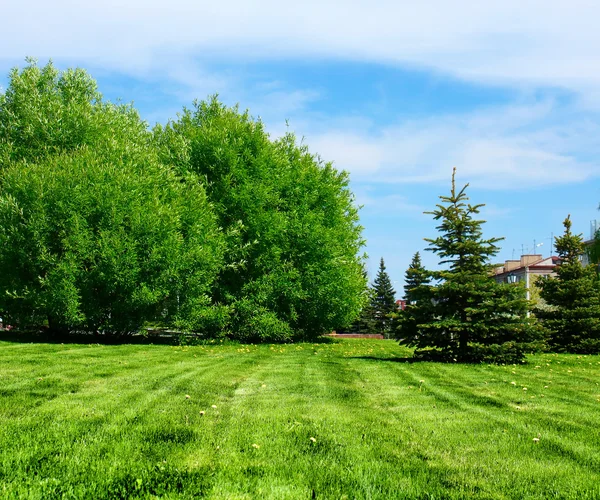 Parque — Foto de Stock