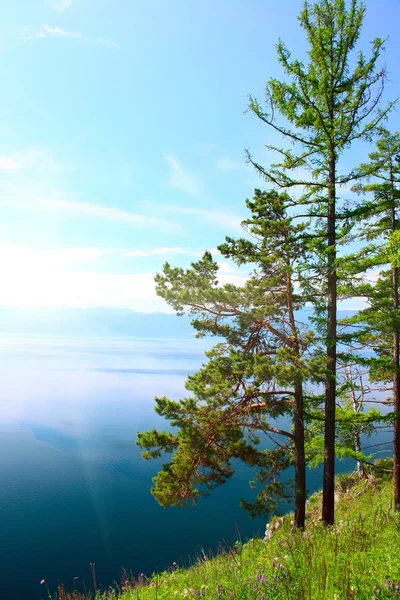Alerce en una colina cerca del lago en el cielo azul — Foto de Stock