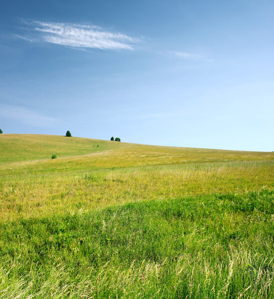 Green meadow and blue sky with cloud