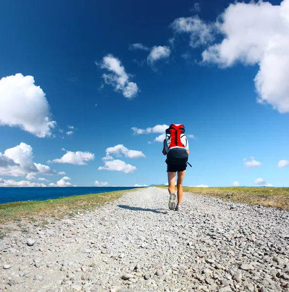 Road — Stock Photo, Image