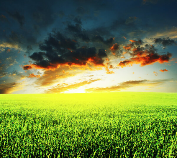 Meadow with green grass and sunset clouds