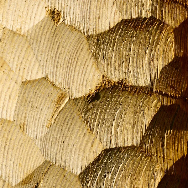 Wood — Stock Photo, Image