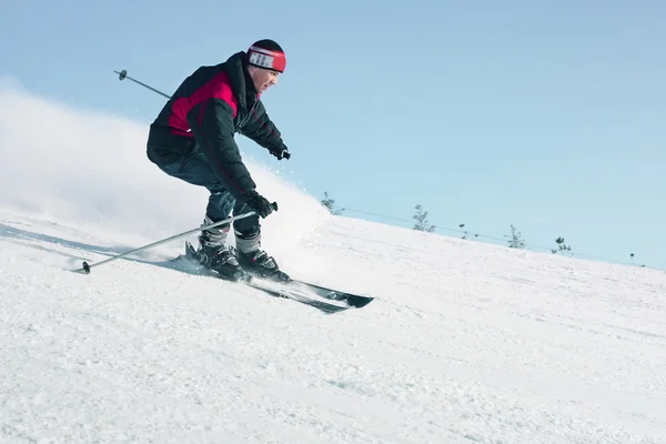 Skiidrettsutøvere – stockfoto