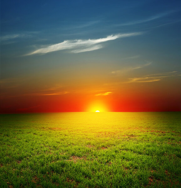 Sunset over field with green grass