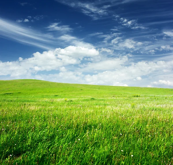 Grasland — Stockfoto