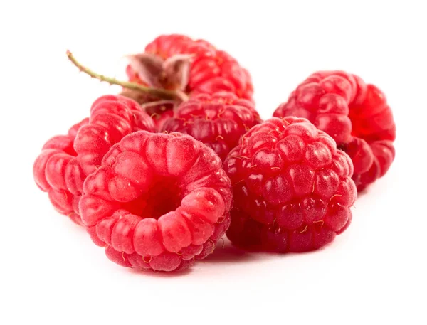 Ripe raspberry over white background — Stock Photo, Image
