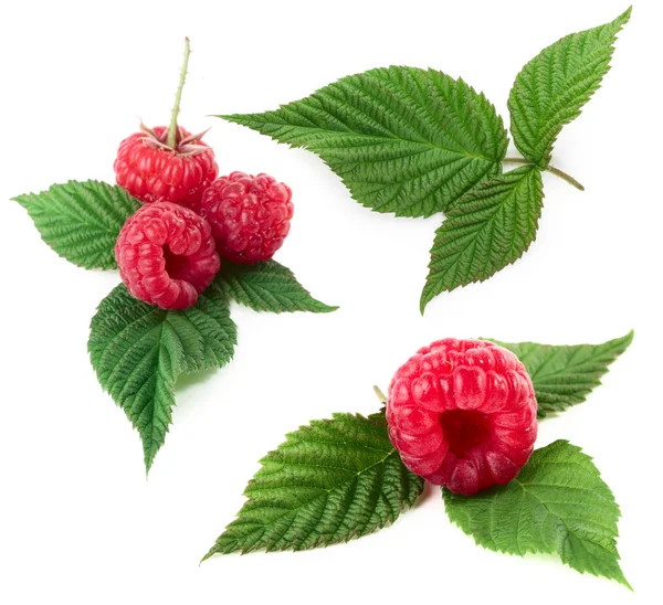 Raspberry — Stock Photo, Image