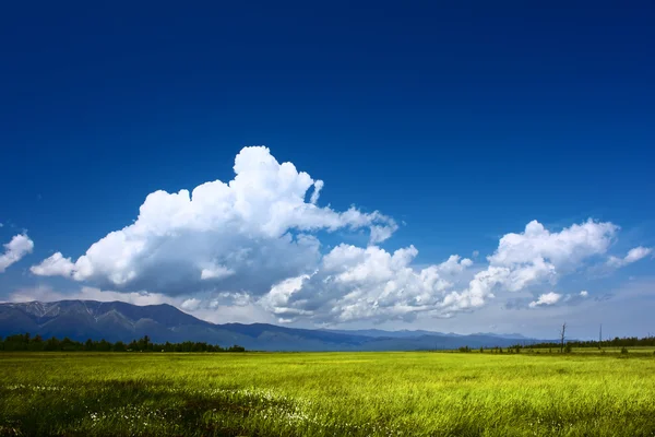 stock image Valley