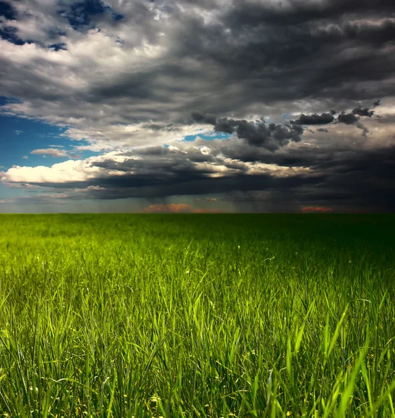 Storm over meadow — Stock Photo, Image