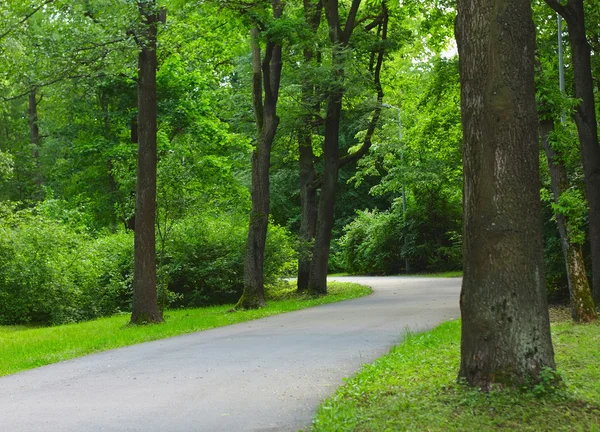 Park — Stock fotografie