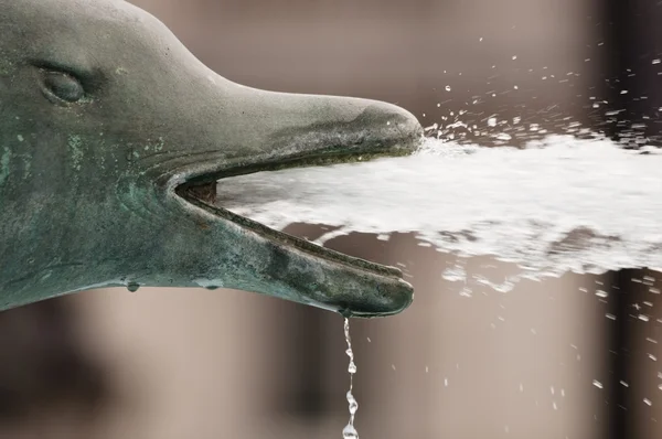 Бронзові Дельфін фонтан — стокове фото