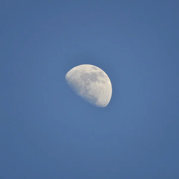 De maan — Stockfoto