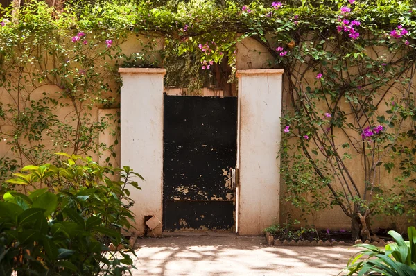 Дверь в сад — стоковое фото