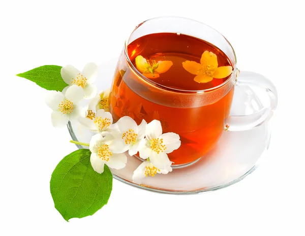 Tea in a cup of jasmine flowers on a white background — Stock Photo, Image