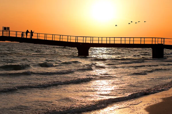 Západ slunce, most na břehu moře, hejno ptáků letí pryč — Stock fotografie