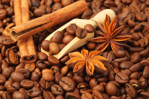 stock image Coffee beans, anise and vanilla