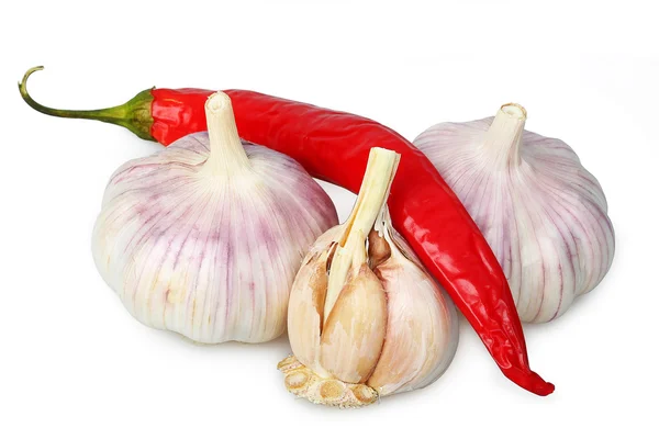 Česnek a červené chilli papričky — Stock fotografie