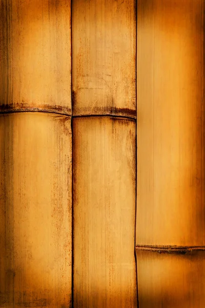 Doğal detaylı bambu — Stok fotoğraf