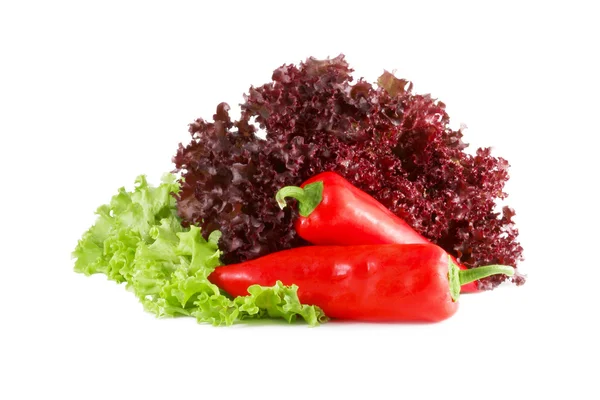 Bulgarian Red Pepper Leaves Green Burgundy Lettuce Isolated White Background — Stock Photo, Image