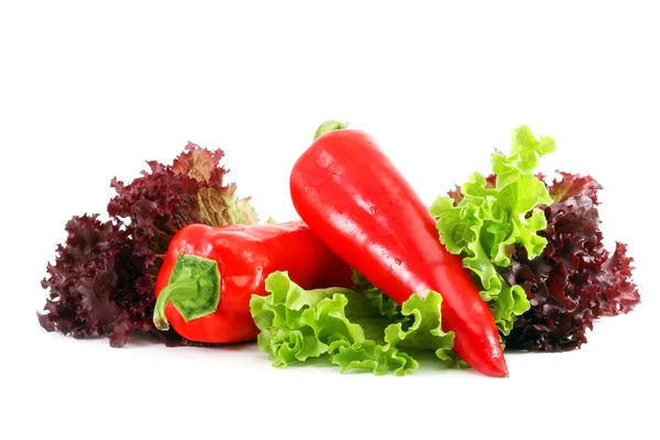 Bulgarian red pepper leaves of green and burgundy lettuce — Stock Photo, Image