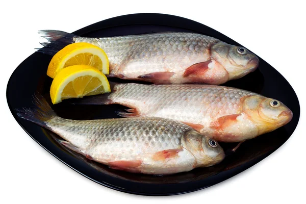 Taze balık - çipura siyah plaka limon dilimleri ile — Stok fotoğraf