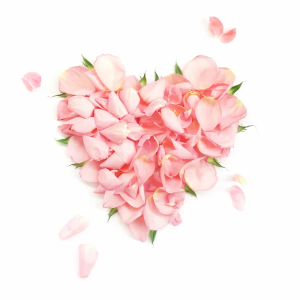 Hart van de meest zachte rose-bloemblaadjes — Stockfoto