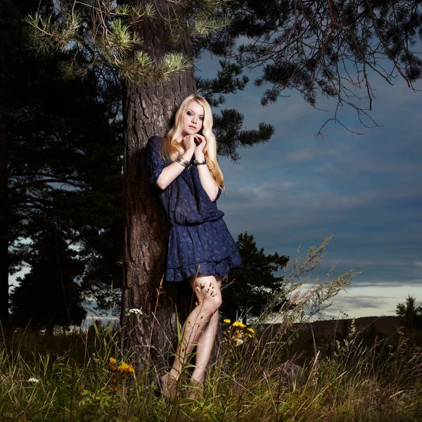 Retrato de chica romántica en el árbol en el bosque — Foto de Stock