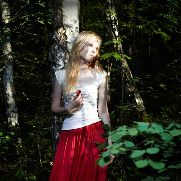 Portrait of romantic woman in fairy forest — Stock Photo, Image