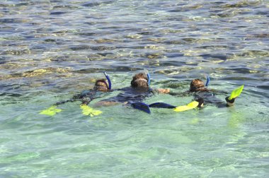 Aile tropikal gölünde snorkeling