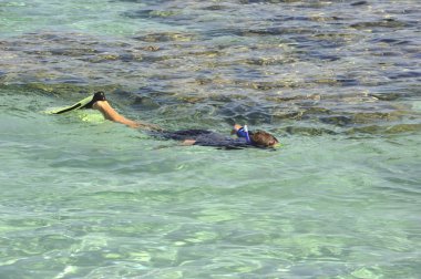 genç çocuk bir tropikal gölünde snorkeling