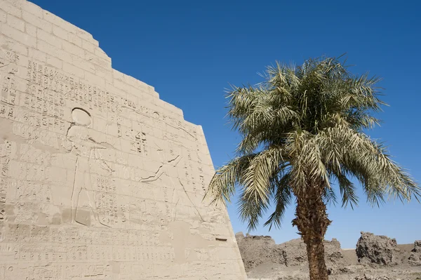 Египетская иероглифическая резьба на стене храма — стоковое фото