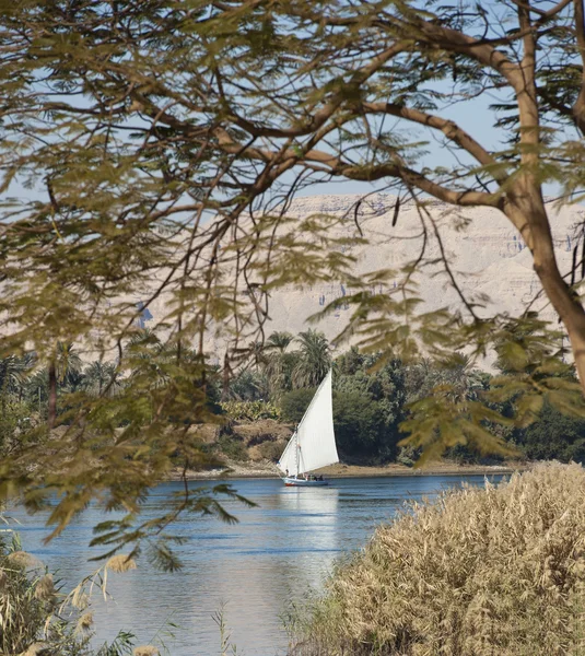 在尼罗河上传统帆船费卢卡 — 图库照片