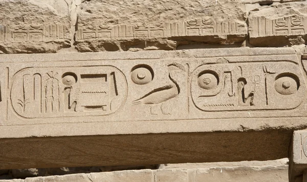Egyptské hieroglyfy v starověkého chrámu — Stock fotografie