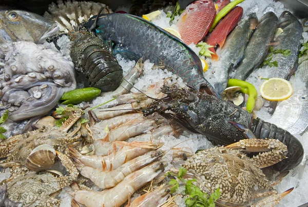 Выставка морепродуктов в ресторане — стоковое фото