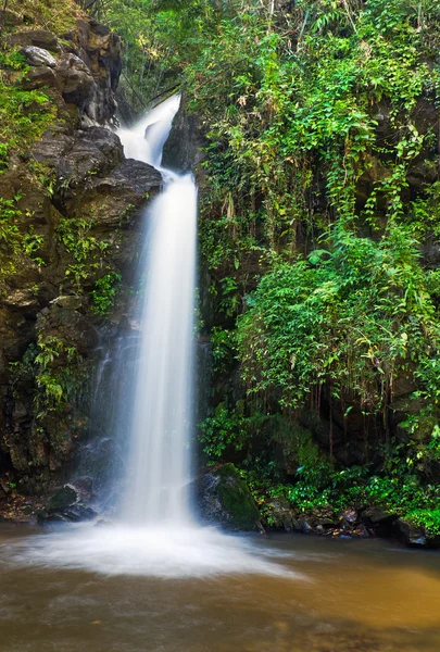 Cachoeira de linha e folhas verdes de uma floresta tropical — Fotografia de Stock