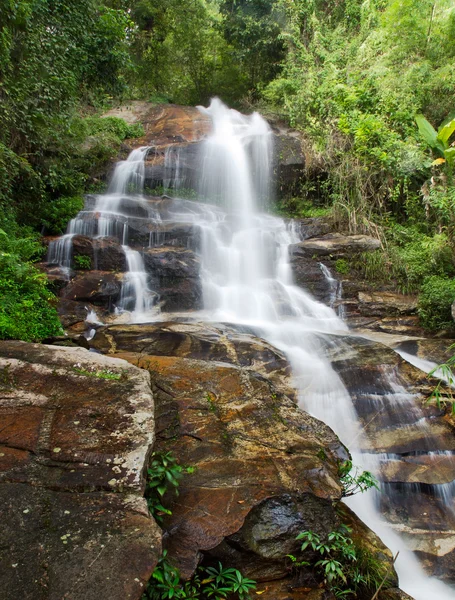 Wodospad i zielone liście z lasu deszczowego — Zdjęcie stockowe