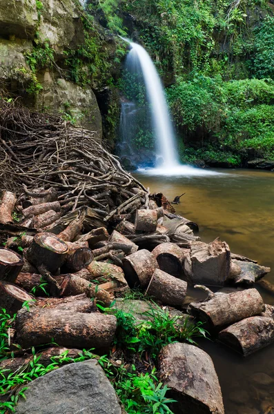 El frente de madera de la belleza de una cascada — Foto de Stock