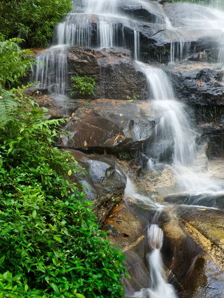 Glatter Wasserfall und grüne Blätter senkrecht — Stockfoto