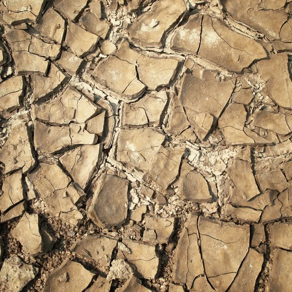 Cracked of ground — Stock Photo, Image