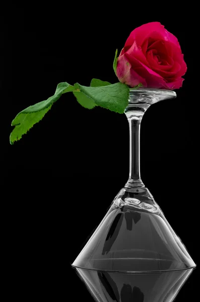 Rose on overturn empty cocktail glass — Stock Photo, Image