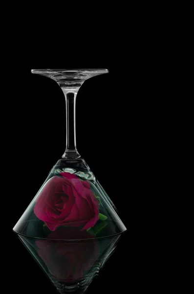 Rose in overturn cocktail glass — Stock Photo, Image