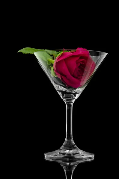Rose in cocktail glass — Stock Photo, Image