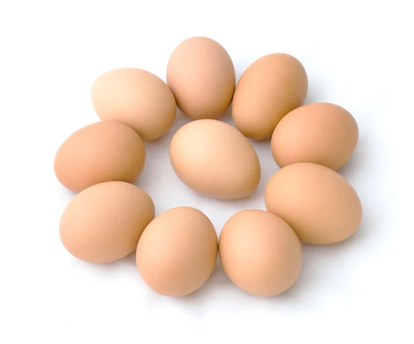 One in Nine cycle egg — Stock Photo, Image