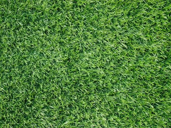 Texture and surface of green turf — Stock Photo, Image