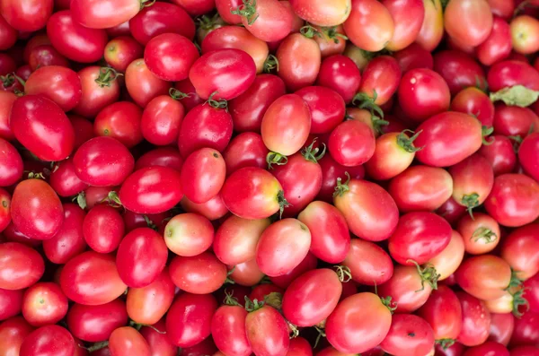 Tomates no mercado alimentar — Fotografia de Stock