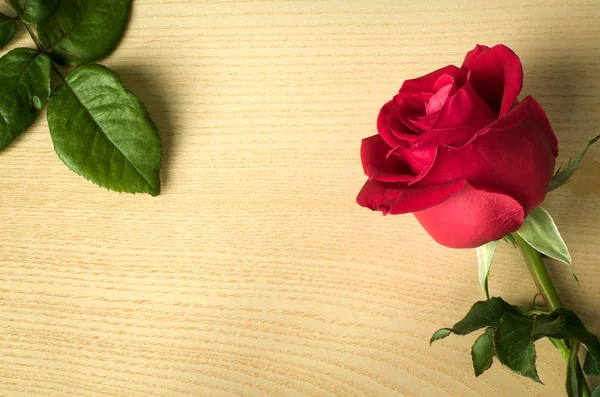 Trandafir roșu pe lemn și frunze verzi — Fotografie, imagine de stoc