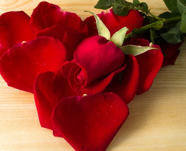 Okvětní lístek růže a srdce formuláře — Stockfoto