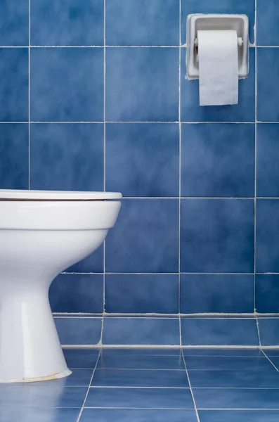 Vita keramiska sanitetsartiklar i blå badrum — Stockfoto