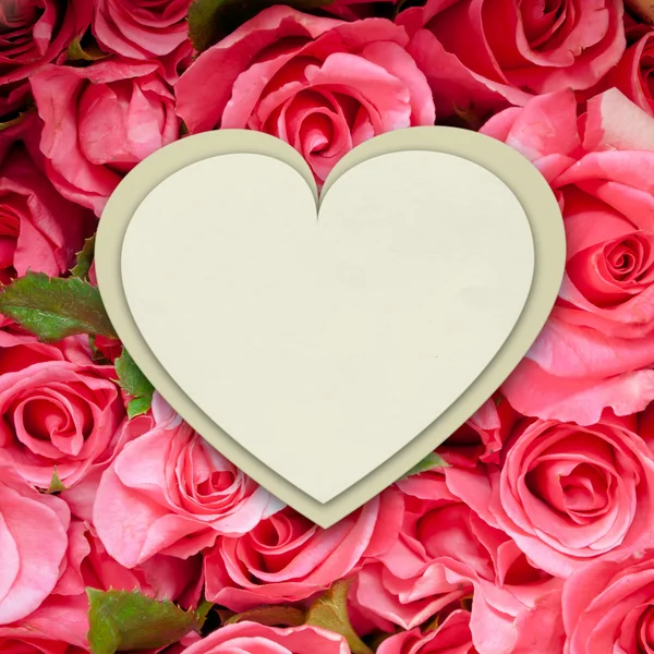 Dokument white paper srdce tvar na pozadí růžových růží — Stock fotografie